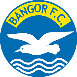 Bangor FC U16 NL