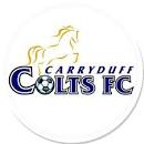 Carryduff Colts U14 NL